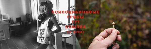 mdpv Арсеньев