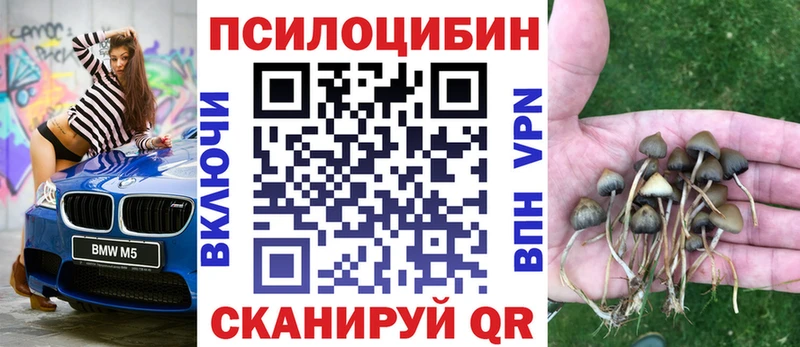 где купить наркоту  Новоалександровск  Галлюциногенные грибы GOLDEN TEACHER 