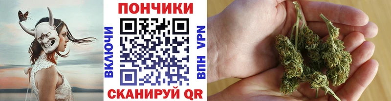 цена наркотик  блэк спрут зеркало  Шишки марихуана AK-47  Новоалександровск 